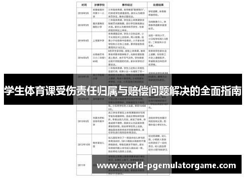 学生体育课受伤责任归属与赔偿问题解决的全面指南