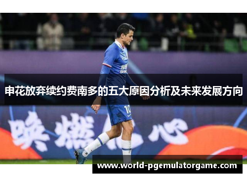 申花放弃续约费南多的五大原因分析及未来发展方向