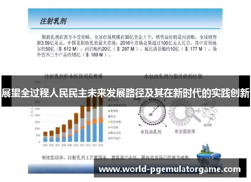 展望全过程人民民主未来发展路径及其在新时代的实践创新