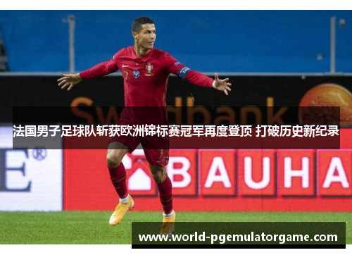 法国男子足球队斩获欧洲锦标赛冠军再度登顶 打破历史新纪录